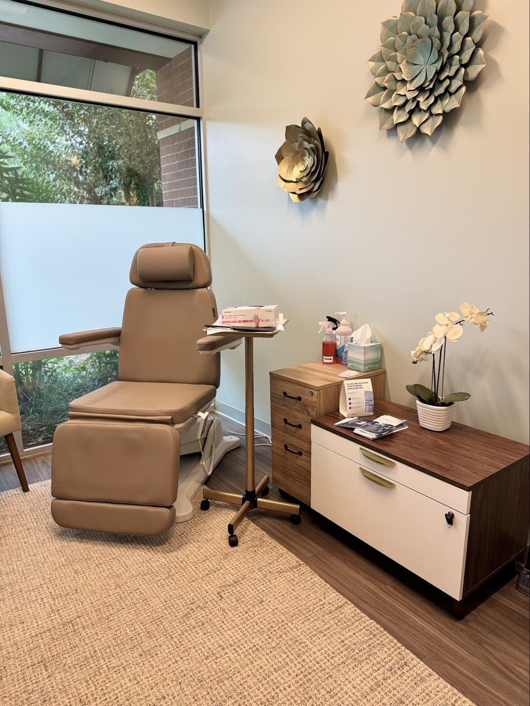 Treatment chair and supply cart beside the window